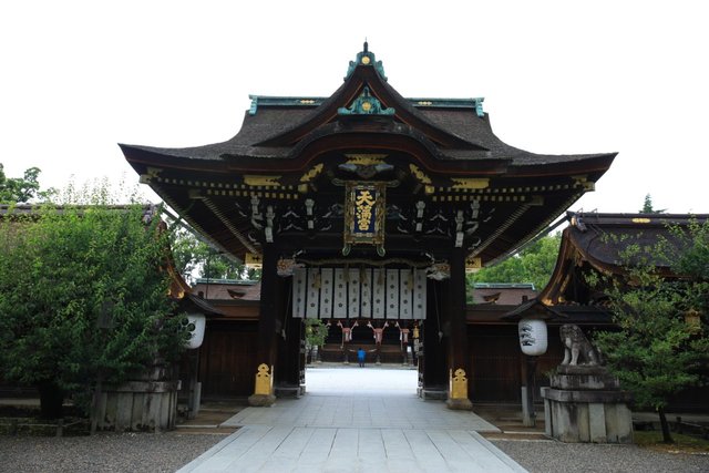 6月限定 斬新で美しい花手水に癒される 北野天満宮 京都花めぐり 年6月26日 エキサイトニュース