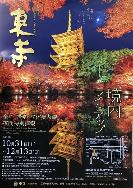 東寺 夜桜ライトアップ夜間特別拝観チケット - その他