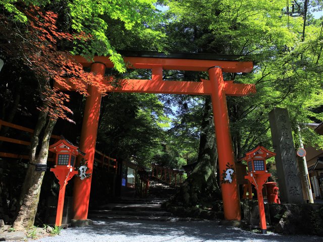 京の涼さがし】京都の奥座敷『貴船神社』で涼しい夏景色が楽しめます