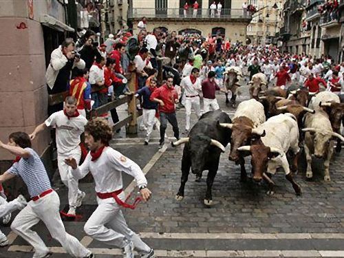 スペインの 牛追い祭り が 玉追い祭り になった 動物虐待との批判を受け 牛から大玉に変更 14年9月29日 エキサイトニュース