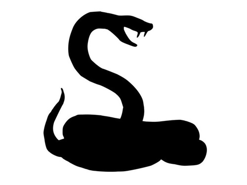 もしもガラガラヘビに手を噛まれたら こうなる 毒の恐ろしさを痛感する写真 19年11月27日 エキサイトニュース