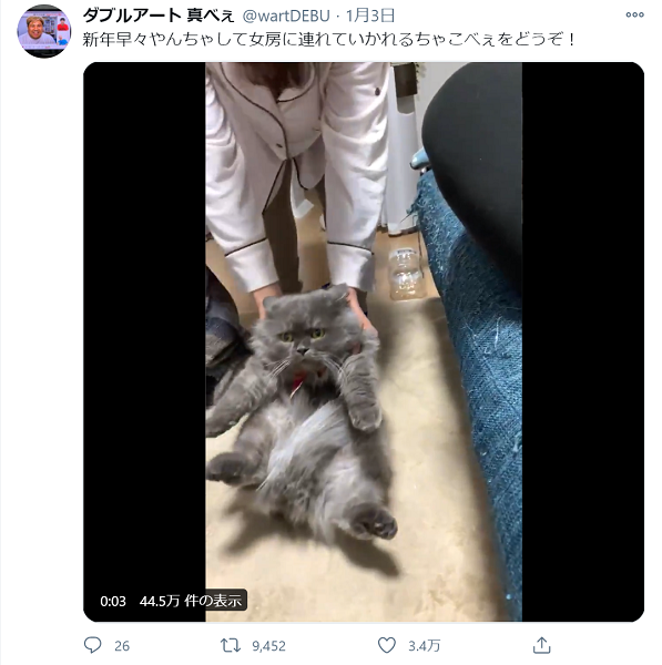 猫おもしろ画像 可愛すぎ 猫たちの奇跡の瞬間14選 21年8月2日 エキサイトニュース