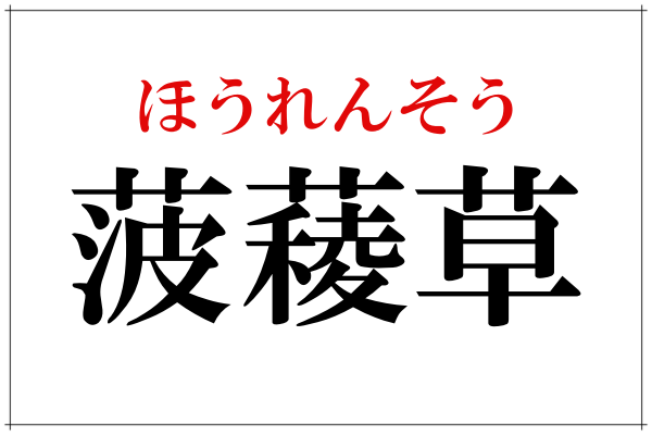菠薐草 なんて読むか知ってる おひたしが美味しいあの野菜 ローリエプレス
