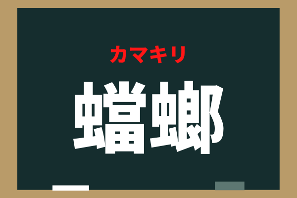 なんだか怖そう 蟷螂 これ読める 腕がすごいあの虫 ローリエプレス