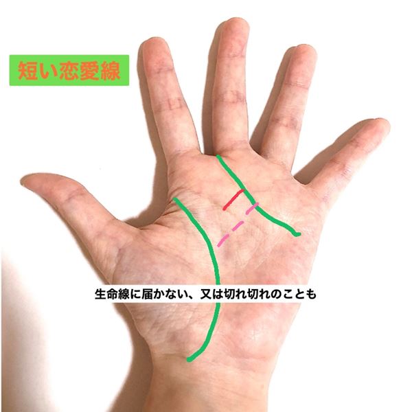 手相 恋愛に関する線はどれ あなたの恋愛線チェック ローリエプレス
