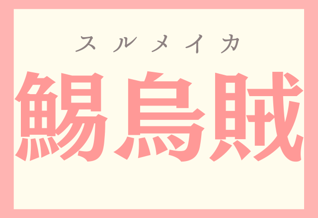 なにこれ海賊 鯣烏賊 お酒のおつまみで有名なもの ローリエプレス