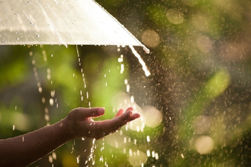 おでかけ先で突然の雨 傘がなくて困ったときの対処方法をご紹介 ローリエプレス