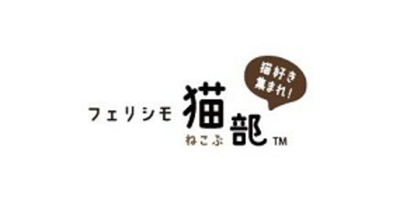 猫が思いを届けます イラストレーター霜田有沙さんが描く 猫とお花のレターセット が フェリシモ猫部 から新登場 ローリエプレス