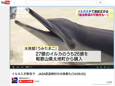 イルカ追い込み漁は残酷じゃない だったらテレビはなぜ漁の詳細を報道しないのか 15年5月26日 エキサイトニュース