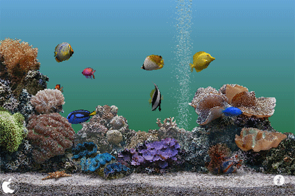 熱帯魚水槽アプリ Marine Aquarium 2 6 を試す 10年4月2日 エキサイトニュース