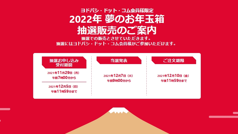 ヨドバシが 夢のお年玉箱 発表 すでにビデオカメラは倍率757倍 21年11月30日 エキサイトニュース