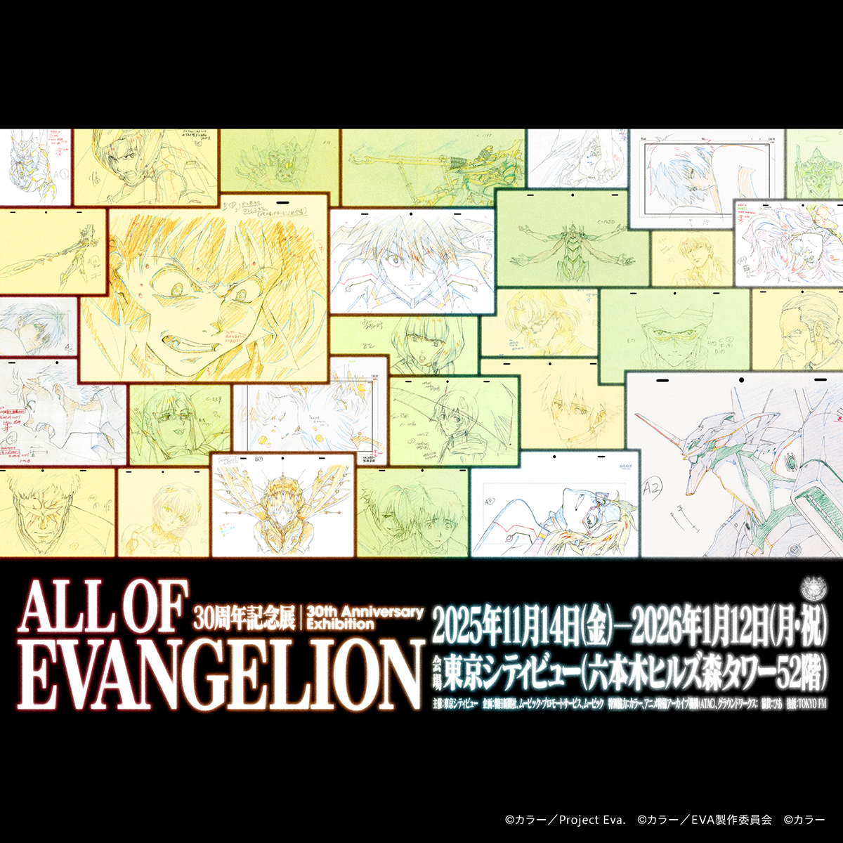 六本木 東京シティビュー 30周年記念 エヴァンゲリオン 5枚セット 30