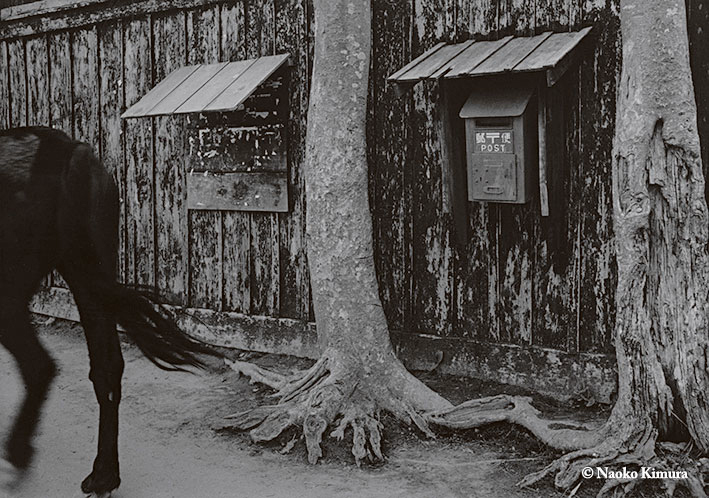 木村伊兵衛氏の仕事を回顧する没後50年展「写真に生きる」が東京都写真