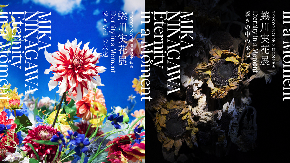 大人気廃盤品 Lumiebre moment flower モーメントフラワー 極 大人気廃盤品 Lumiebre moment flower モーメントフラワー 極