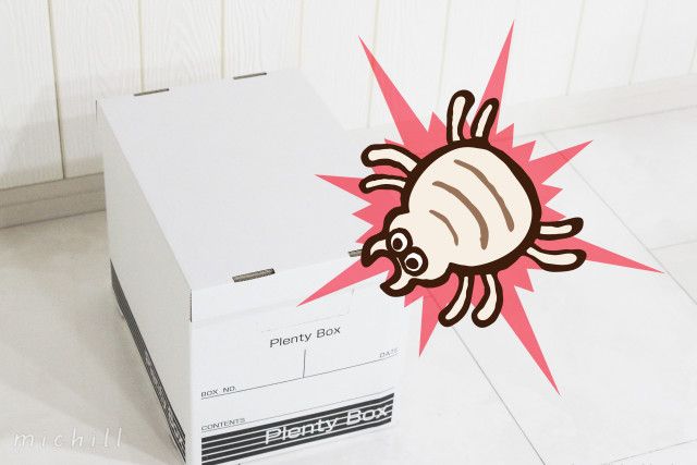 虫の住処になってない プロが教えるダンボール収納をオススメしない理由 ローリエプレス