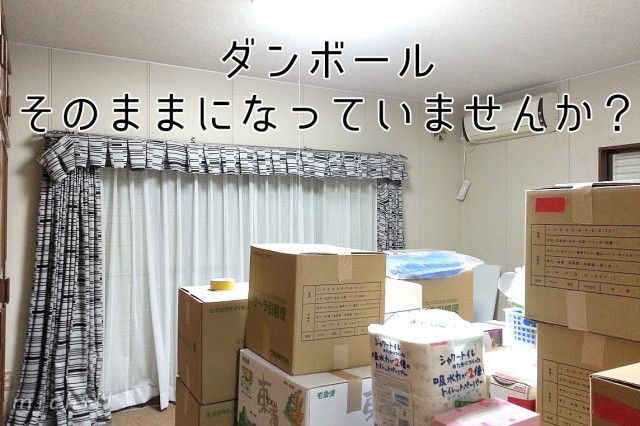 虫の住処になってない プロが教えるダンボール収納をオススメしない理由 ローリエプレス