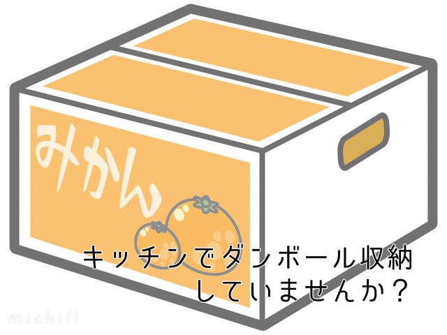 虫の住処になってない プロが教えるダンボール収納をオススメしない理由 ローリエプレス