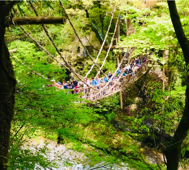 女子旅におすすめの国内スポット 京都の人気ランチ 香川県2泊3日の満喫プラン 癒しとパワーをもらえる旅先3選 ローリエプレス