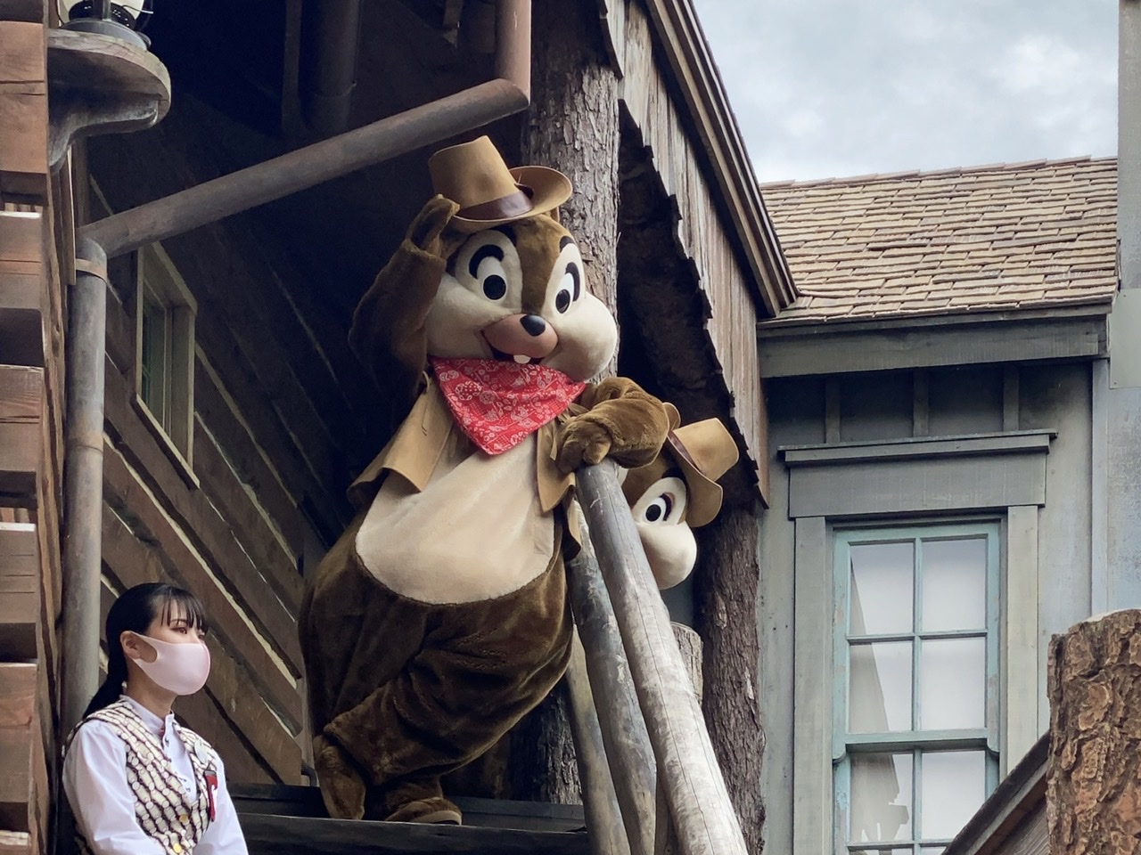ディズニーランド グリーティング再開 キャラクターに会える方法を徹底紹介 ローリエプレス ディズニーランド グリーティング再開 キャラクターに会える方法を徹底紹介 ローリエプレス