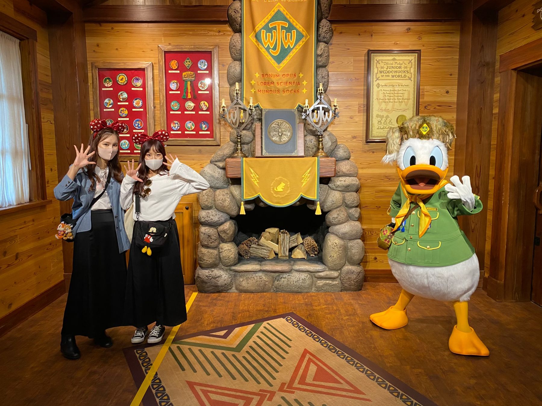 ディズニーランド グリーティング再開 キャラクターに会える方法を徹底紹介 ローリエプレス