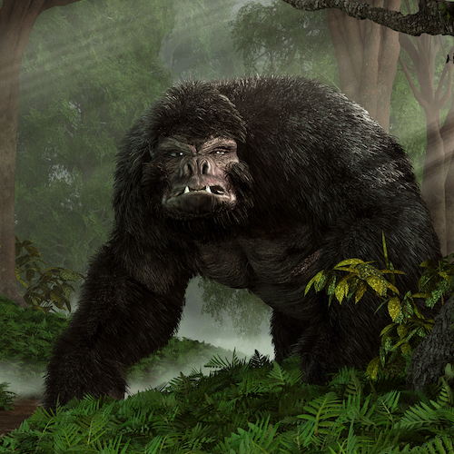 オーストラリアの未確認動物 ヨーウィー がカメラに映った 19年1月3日 エキサイトニュース