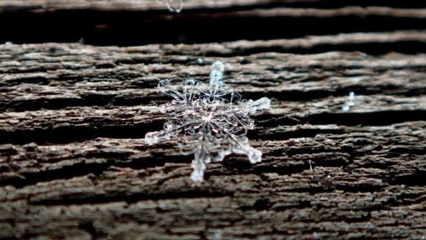 雪の結晶は全て六角形って本当 19年2月12日 エキサイトニュース