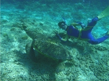 水族館の飼育員について聞いてみた 16年3月30日 エキサイトニュース