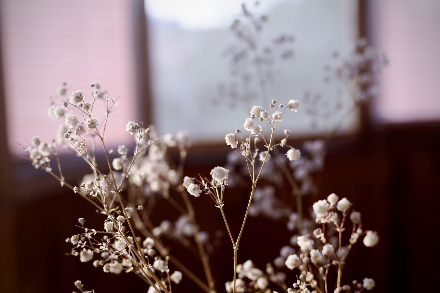 もらったお花どうしてる 記念に残したい人必見 ドライフラワーの作り方 ローリエプレス