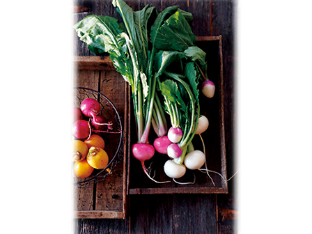 かわいい プランターでカラフル小カブ 年9月27日 エキサイトニュース