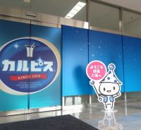 夏休み限定“カルピス工場見学”を体験