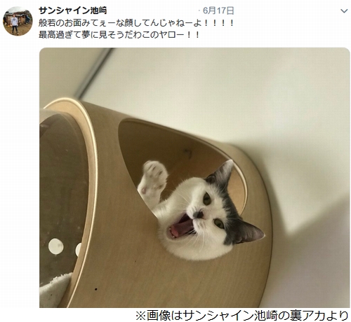 サンシャイン池崎の悪口だらけ 裏アカ 流出 人生狂わされた エキサイトニュース