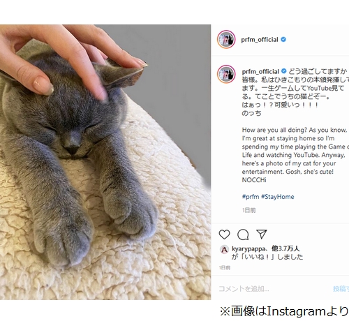 Perfumeのっち ひきこもりの本領発揮 愛猫も激カワ 年4月12日 エキサイトニュース