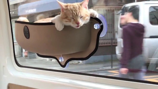 猫のドライブ眺望抜群 車窓に張りつくハンモックに乗り 年3月16日 エキサイトニュース