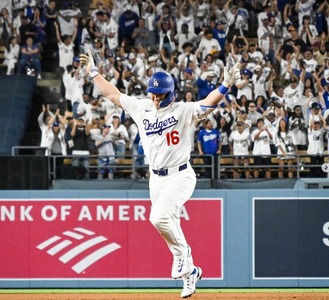 祝WS連覇】直筆サイン入りボール 2025公式MLB ウィル・スミス 祝WS連覇