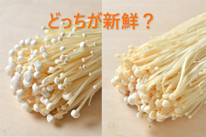 青髪のテツ】傷みやすい「えのきたけ」…見分け方をプロに聞いてみた