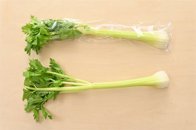 NichinichiMagazine_ID005578_1.jpg