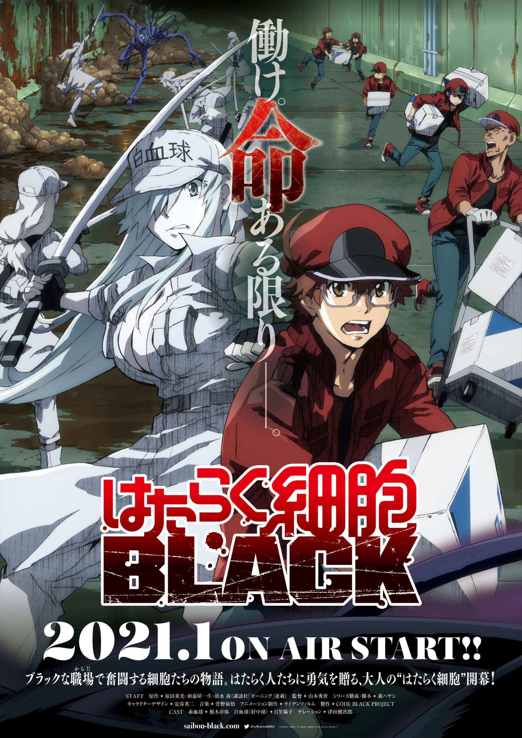 Tvアニメ はたらく細胞black Pv キャストコメント公開 Blackな体内環境で働く赤血球や白血球の姿を収録 年9月7日 エキサイトニュース Tvアニメ はたらく細胞black Pv キャストコメント公開 Blackな体内環境で働く赤血球や白血球の姿を収録 年9月7日 エキサイトニュース