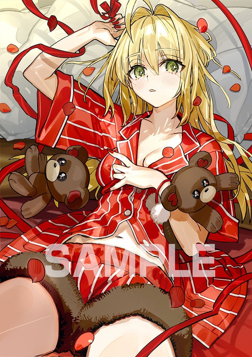 Fate/EXTRA Record』セイバー描きおろし公開！アニメイト限定特典