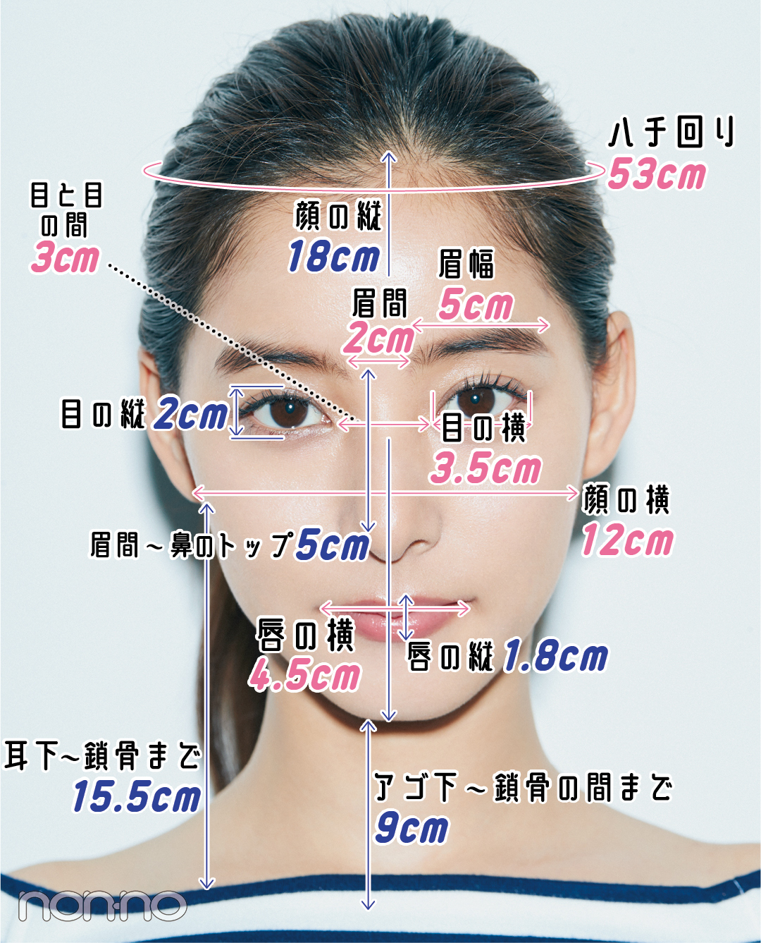 100以上鼻横幅平均 画像の写真のすべて