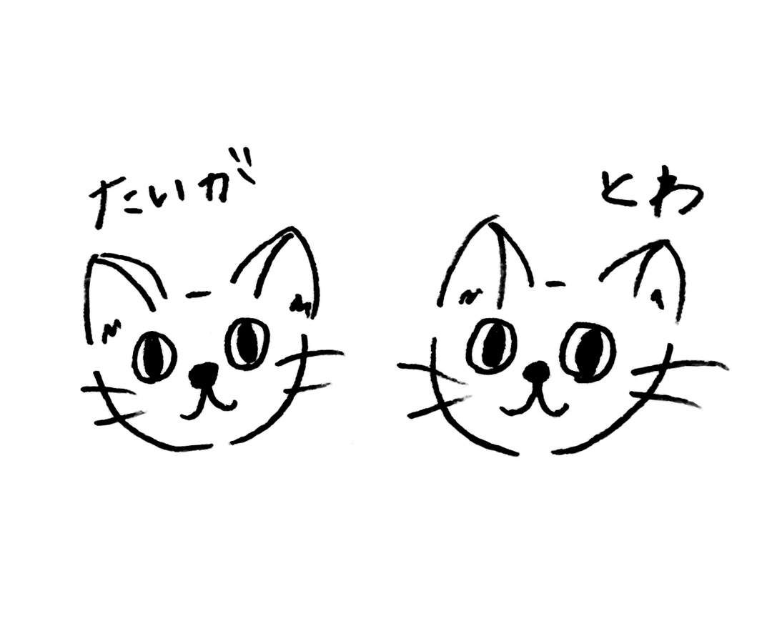 ノンノモデルが愛猫トーク 貴島明日香のにゃんず通信 02にゃんず自己紹介 ローリエプレス