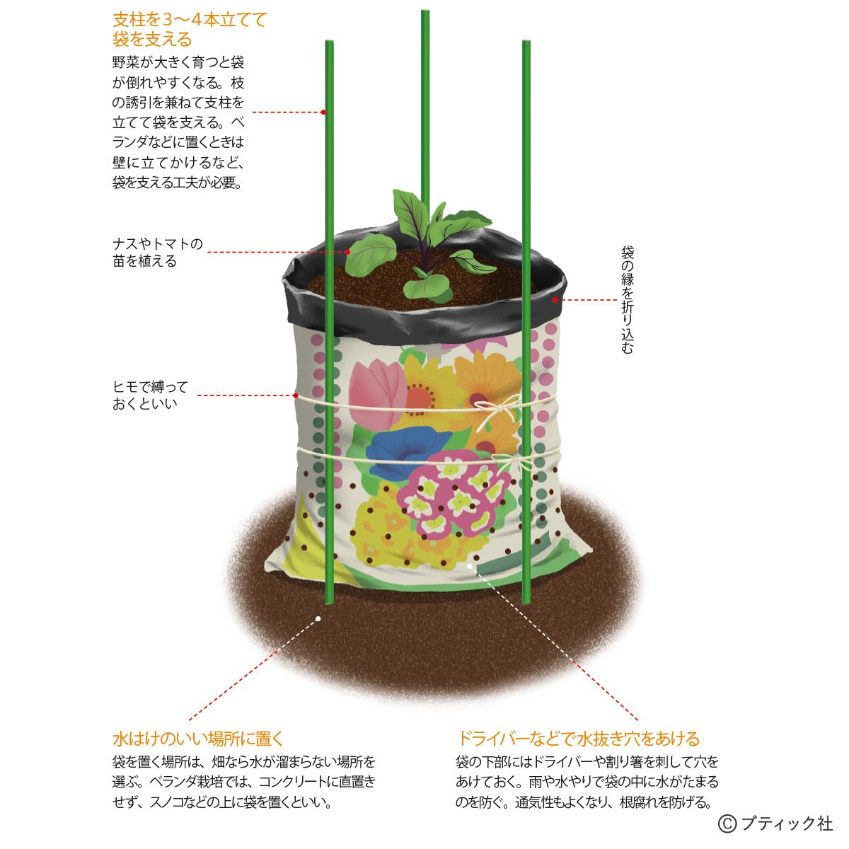 野菜作りのアイデア 培養土の袋栽培 やり方と実例 21年3月1日 エキサイトニュース