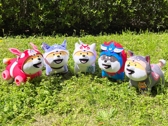 まめこの仔　ピクシードラゴンのぬいぐるみ まめこの仔 ピクシードラゴンのぬいぐるみ - メルカリ