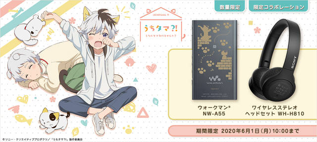 ワイヤレスヘッドセット うちタマ?!コラボ 河原べーver. うちタマ?! ～うちのタマ知りませんか？～』ウォークマン＆ワイヤレス