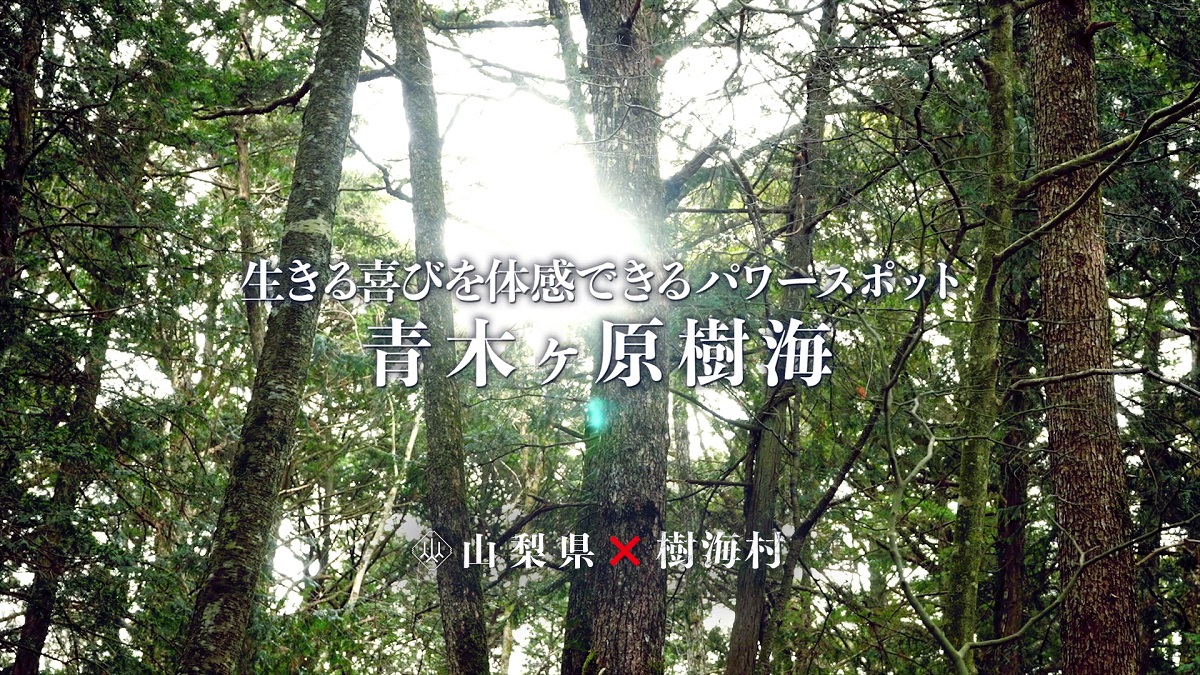 絶対に協力なんてしない と言っていた山梨県が映画 樹海村 とコラボ 本当はスゴい樹海の魅力をpr 21年2月4日 エキサイトニュース