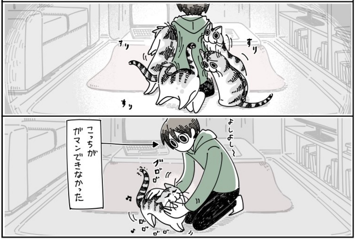 猫飼いあるある 飼い猫のかまってアピールについ 21年2月8日 エキサイトニュース