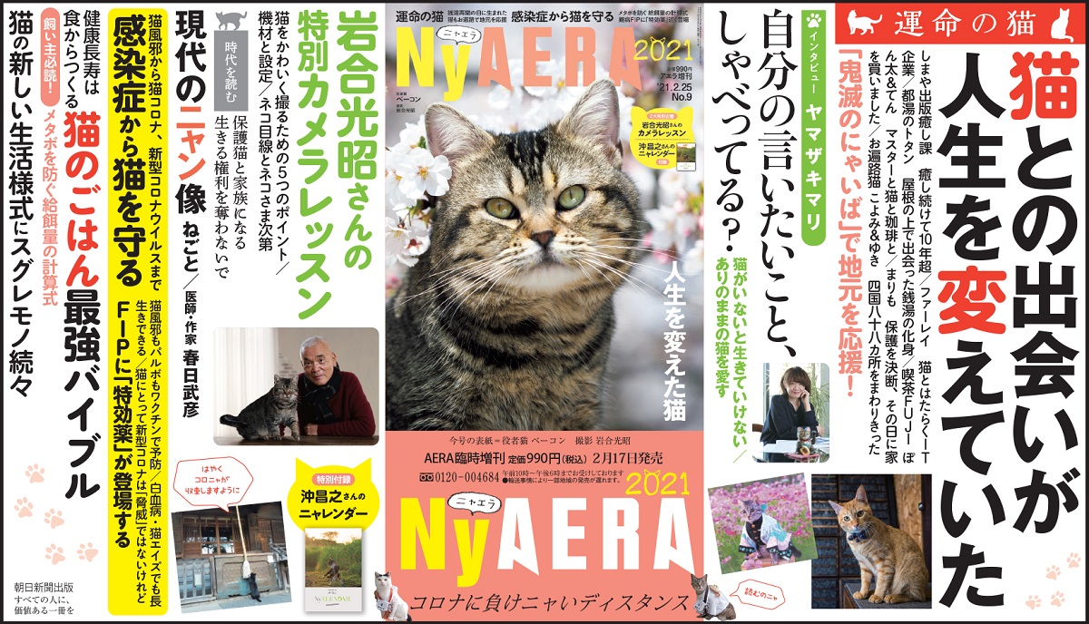 Aeraが一冊まるごと猫化 臨時増刊 Nyaera ニャエラ 第6弾発売 21年2月17日 エキサイトニュース
