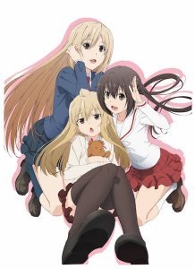TVアニメ みなみけ 1～4期【限定版収納BOX】　おかわり　おかえり　ただいま Otakuma_222217_1.jpeg