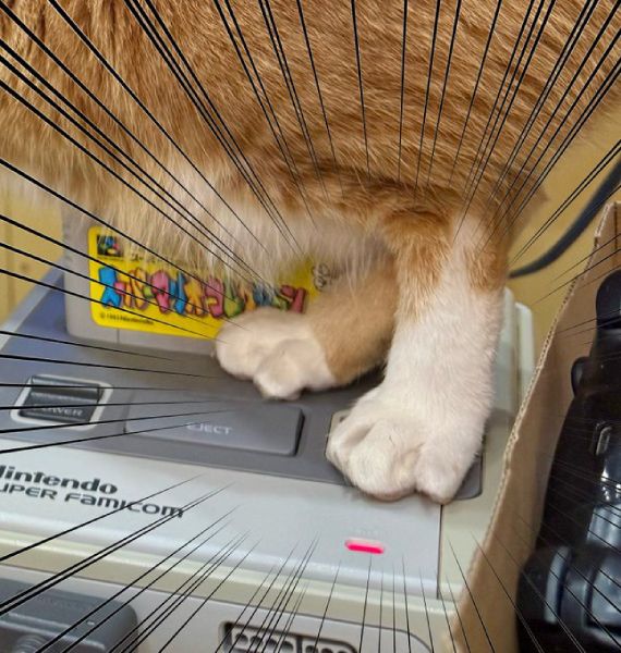 レトロゲームあるあるが令和に復活！愛猫のハプニング