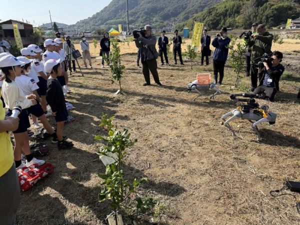 画像が削除されました