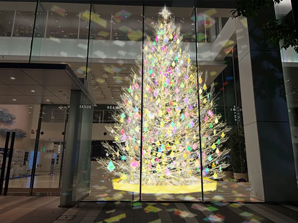 玉川高島屋S.C.に3種のクリスマスツリー 幻想的なオーロラの輝きや生木